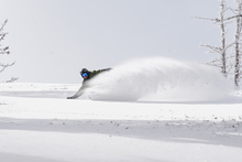 listing_picture_override