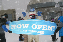 listing_picture_override