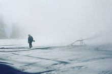 listing_picture_override