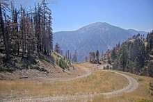 2025-08-15_21-55-33