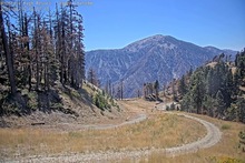 2025-08-19_21-41-25