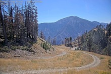 2025-08-19_23-01-37