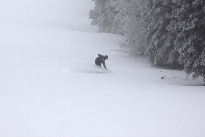 Powder for days.