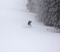 Powder for days.