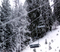6 inches of new snow overnight.