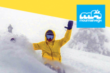 listing_picture_override