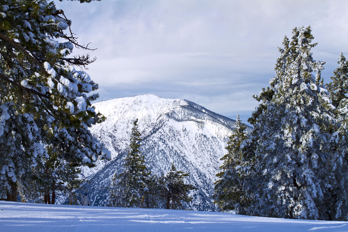 20160110_Mt Baden-Powell from Discovery Chair 