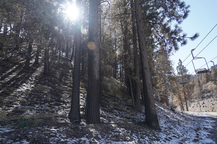 FIRST SNOW 1.jpg