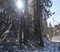 FIRST SNOW 1.jpg