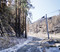 FIRST SNOW 11.jpg