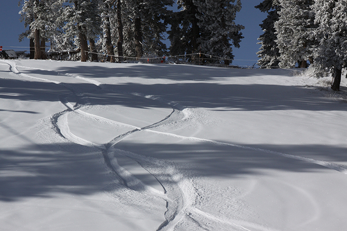 Get up here and get first tracks this morning!