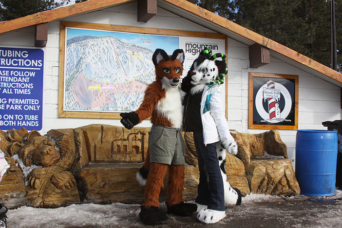 Some furry critters Showed up at the North Pole to celebrate the new year!