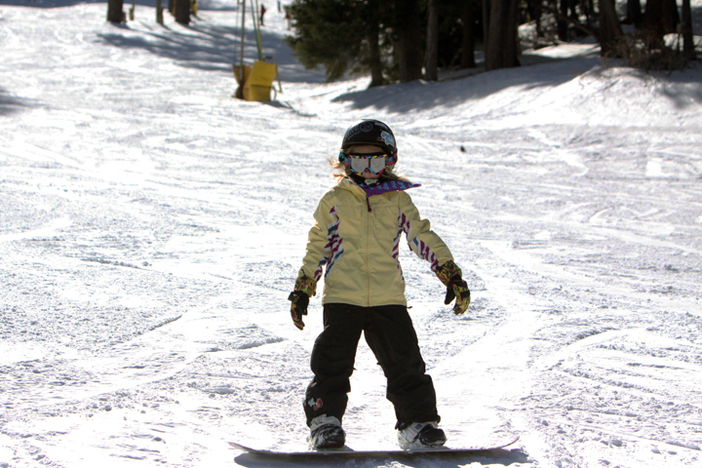 Shredder in training.