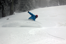 Fantastic powder runs!