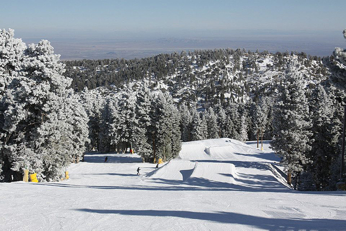 Fresh snow and fresh jumps.