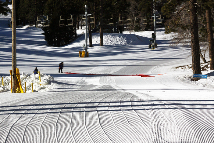 Who's down for some fresh groomers this morning?