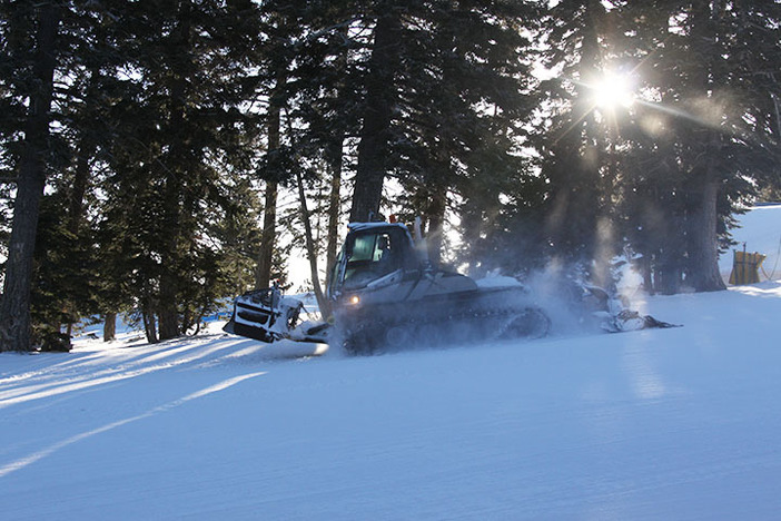 Groomers making sure everything is ready to go!