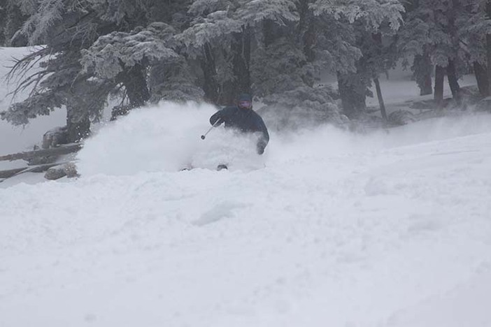 Charging through the freshies!