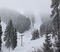 6-8" of new snow blanketed the resort!