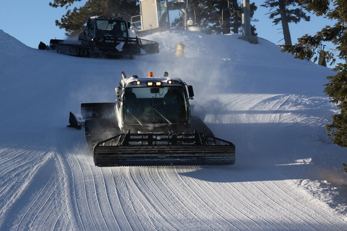 Fresh groomers every morning.