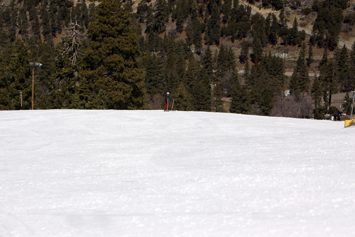 Come enjoy the beautiful spring weather and wide open runs.