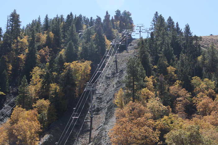 The leaves are changing color and getting ready for winter.