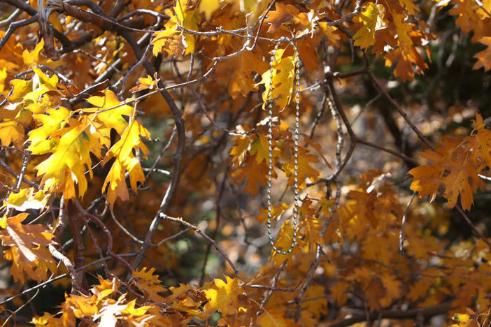 Decorations in the trees.