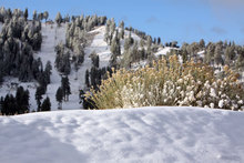 Second early season snowfall.