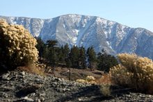 A little snow still left from last week's storm.