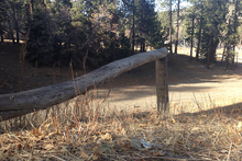 More new natural features are being placed in the Gulch.