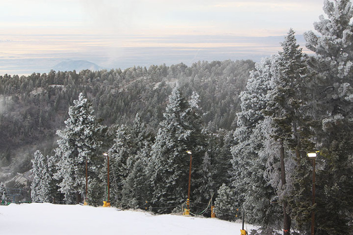 Frosty trees from the snow showers we received.