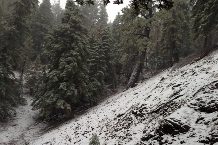 Fresh snow covers the foothills.