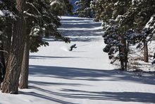 Finding those epic pow lines.