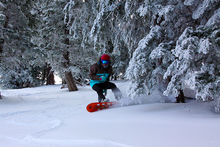 Kim finding some powder in the trees.