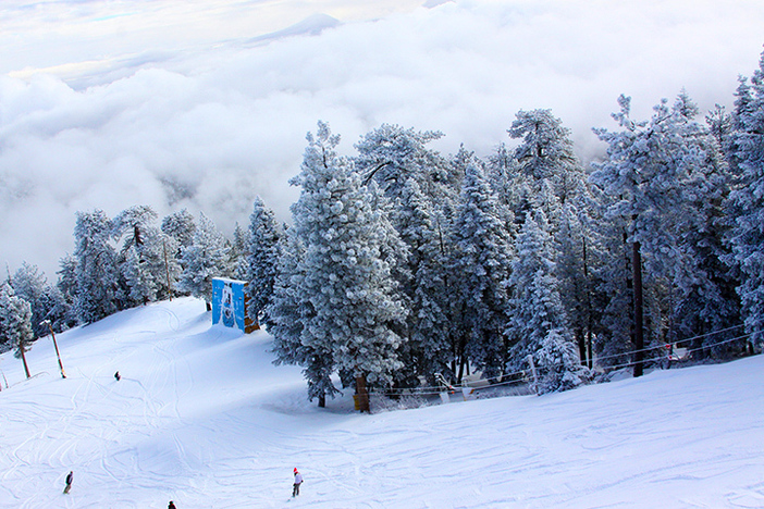 A fresh dusting overnight.