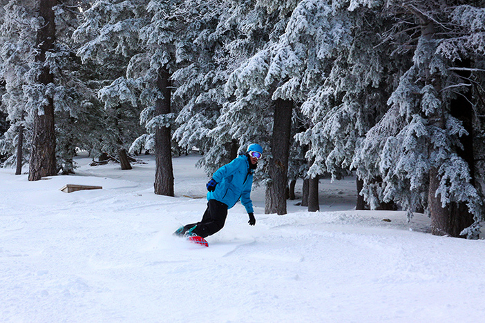 Have you gotten your fill of fresh tracks this season?