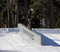 Concrete ledge in a ski resort.... check!