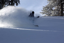 Fresh powder flying on Vertigo.