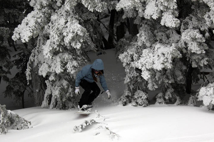 Kim getting it good in the trees off Conquest.