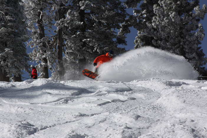 Fresh powder turns all day long.