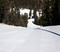 Freshly groomed Headwall.