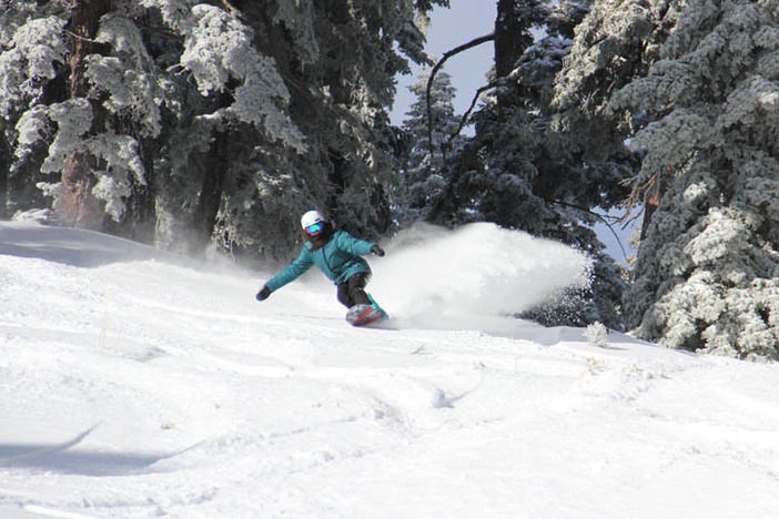 Jamie getting into the trees.