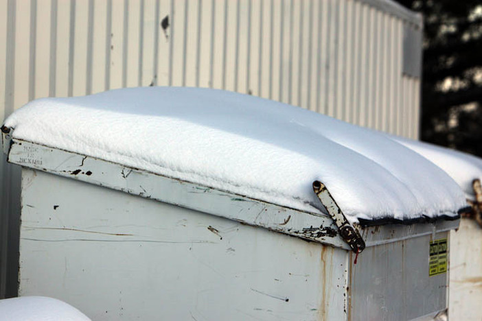 Who ever thought a dumpster could look so good?