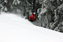 8 to 12 Inches of fresh powder.