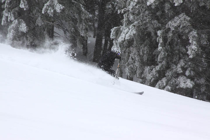 Slaying the fresh snow on Wyatt.