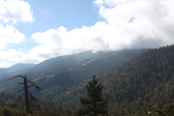 Clouds creeping in over East.