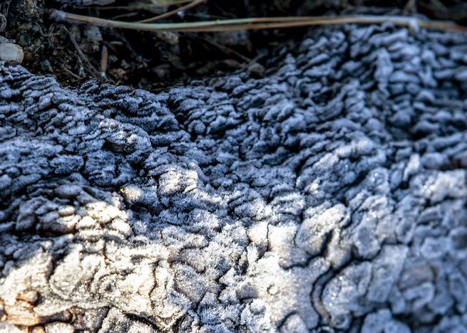 20181014_frost on blue ridge