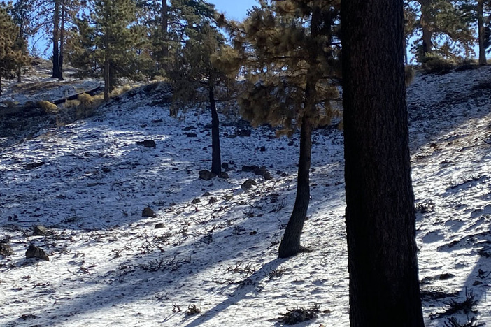 FIRST SNOW 25.jpg
