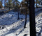 FIRST SNOW 25.jpg