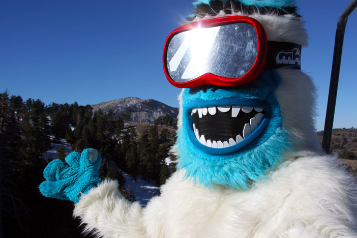 Yeti Loves The Views From The Lift.